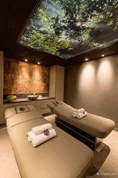Spa Wellness Experience